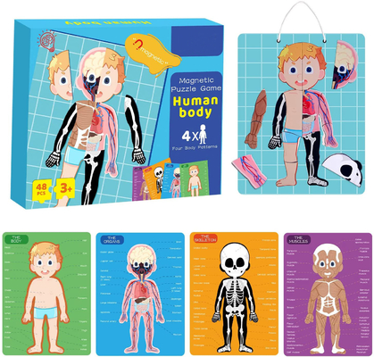 Harga yang bagus 48pcs Pendidikan Magnetik Tubuh Manusia Jigsaw Puzzle Toys Untuk Anak 3 Tahun on line